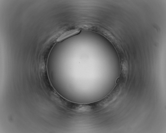 X0000115850617200911131553