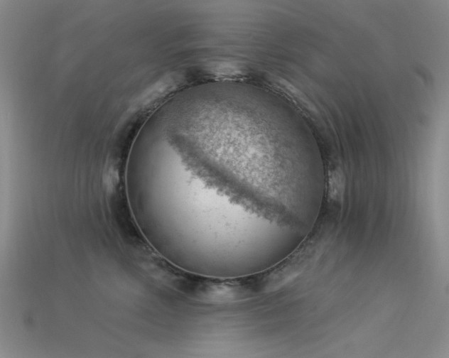 X0000115850618200911131553