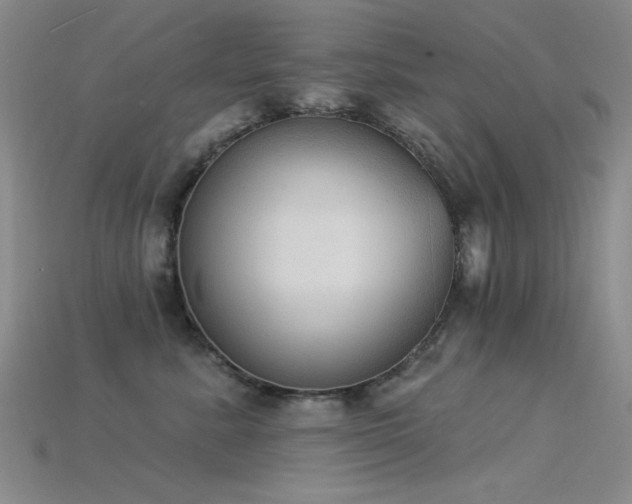 X0000115850619200911131553