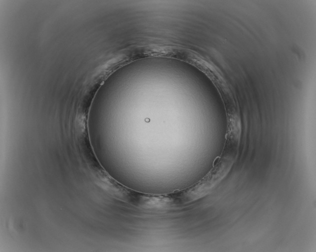 X0000115850621200911131553