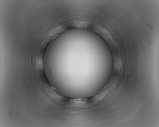X0000115850622200911131553