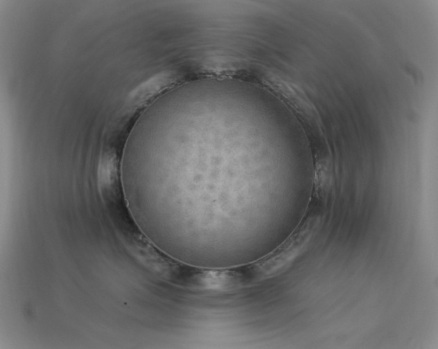 X0000115850623200911131553