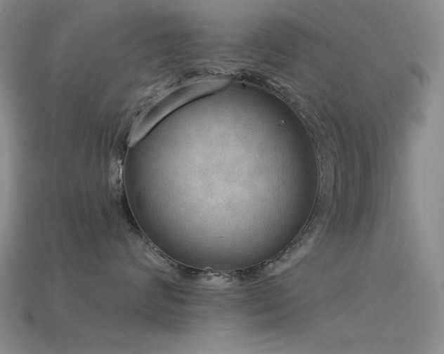 X0000115850624200911131553