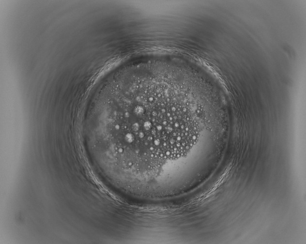 X0000115850625200911131552