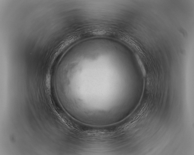 X0000115850626200911131552