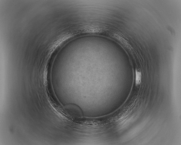 X0000115850627200911131552