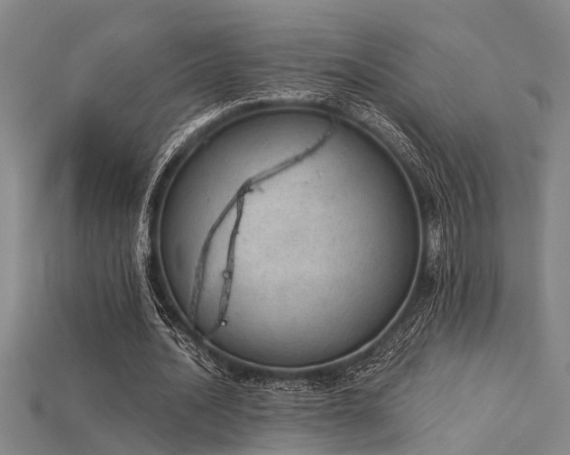 X0000115850628200911131552