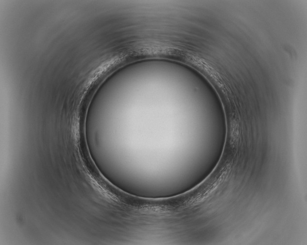 X0000115850629200911131552