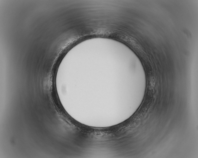 X0000115850632200911131552