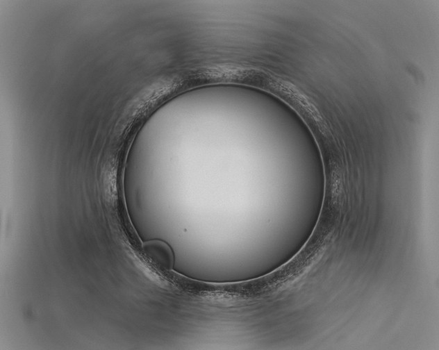X0000115850633200911131552