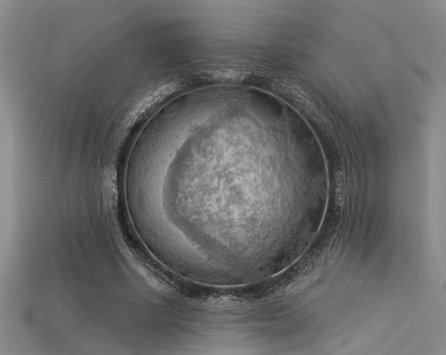 X0000115850634200911131552