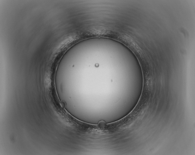 X0000115850635200911131552