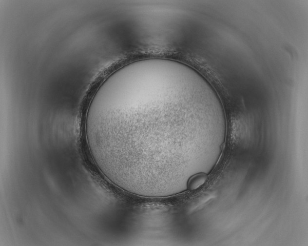 X0000115850636200911131552