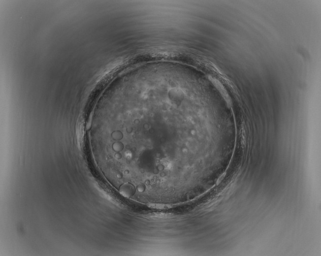 X0000115850637200911131552
