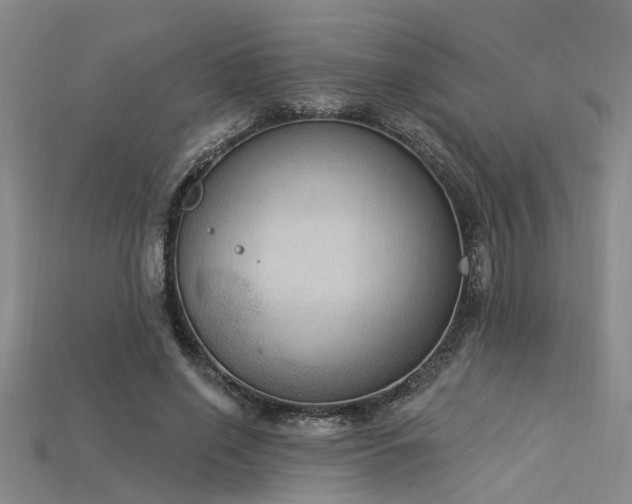 X0000115850638200911131552