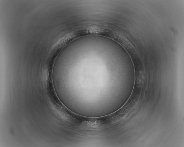 X0000115850639200911131552