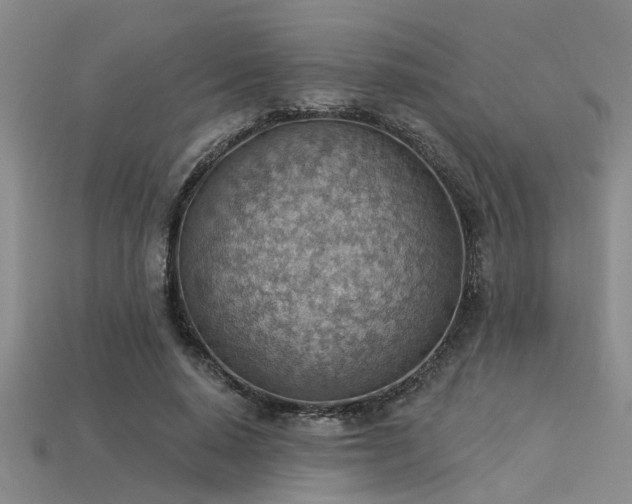 X0000115850640200911131552