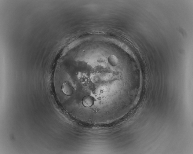 X0000115850641200911131552