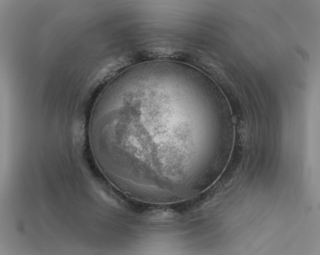 X0000115850642200911131552