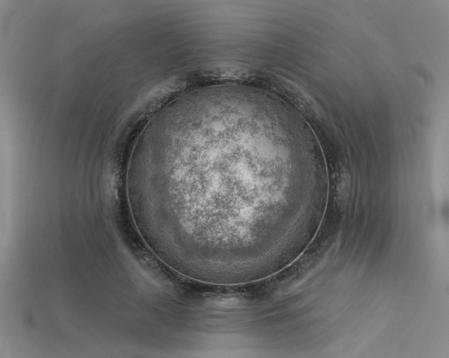 X0000115850643200911131552