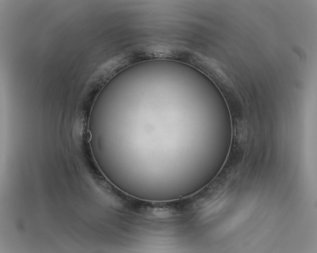 X0000115850645200911131552
