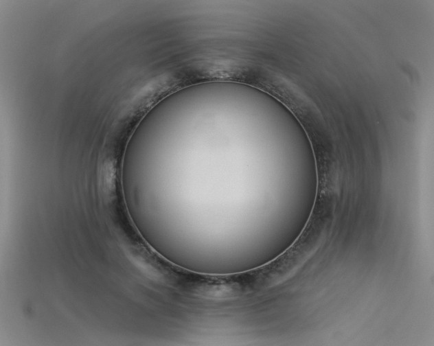 X0000115850646200911131552