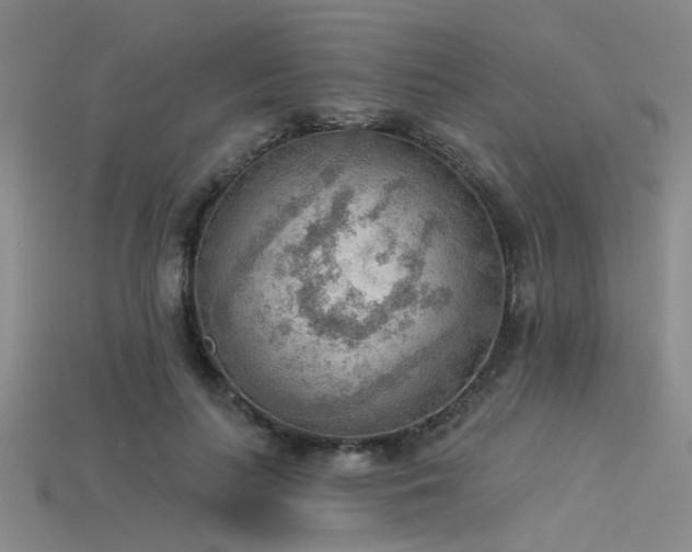 X0000115850647200911131552