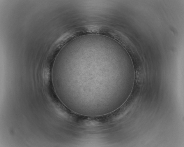 X0000115850648200911131552