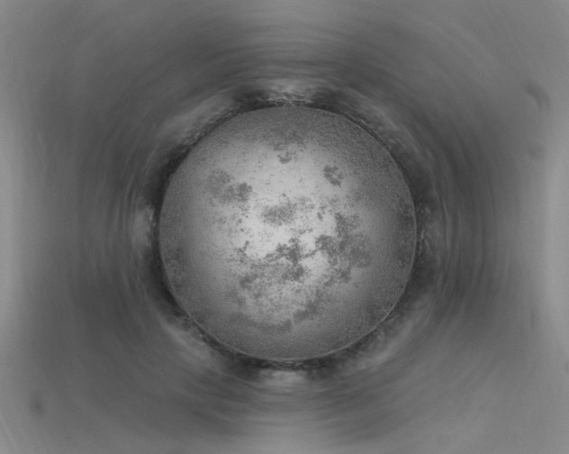 X0000115850649200911131552