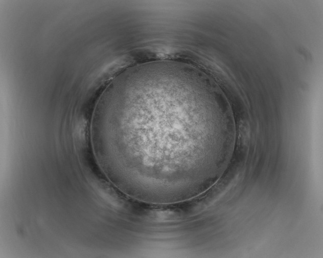 X0000115850650200911131552