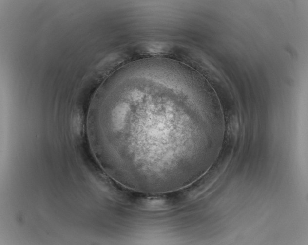 X0000115850651200911131552