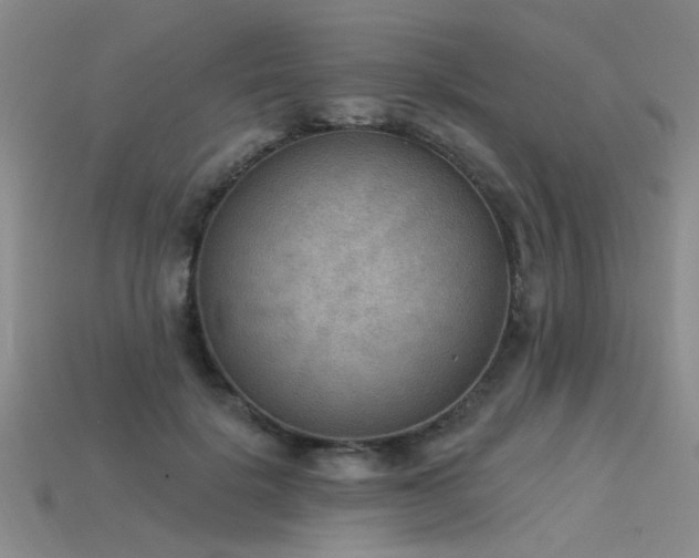 X0000115850652200911131553