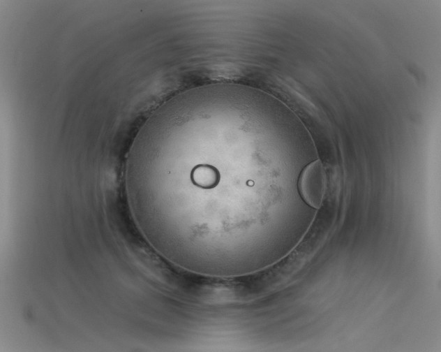 X0000115850655200911131553