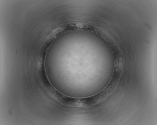 X0000115850656200911131553