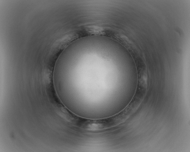 X0000115850658200911131553