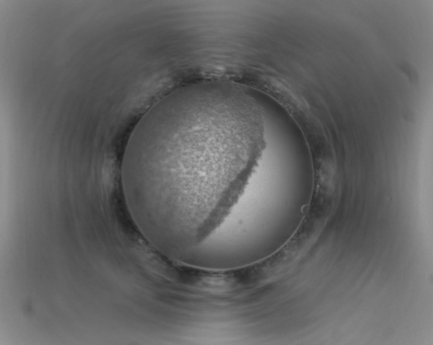 X0000115850659200911131553