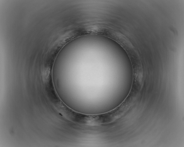X0000115850660200911131553