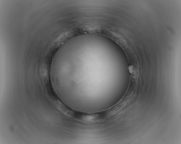 X0000115850662200911131553