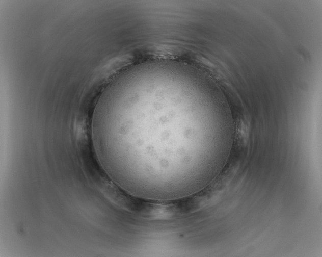 X0000115850663200911131553