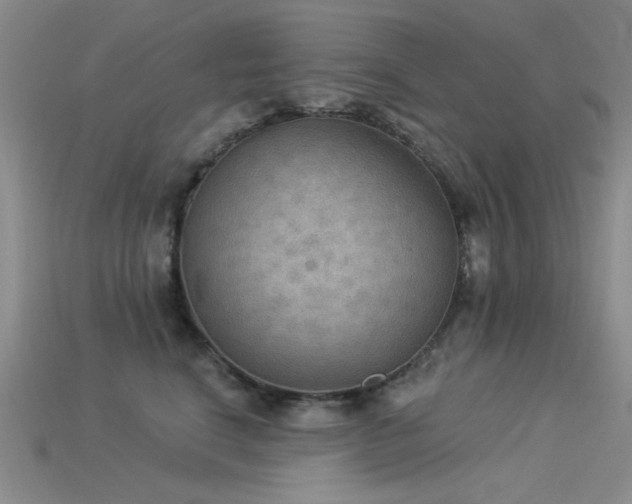 X0000115850664200911131553