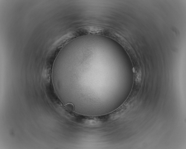 X0000115850666200911131553