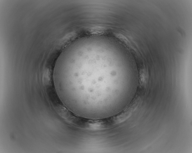 X0000115850667200911131553