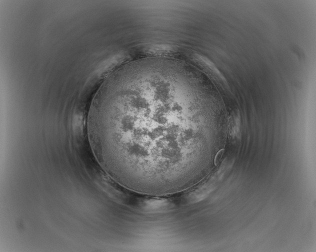 X0000115850669200911131553