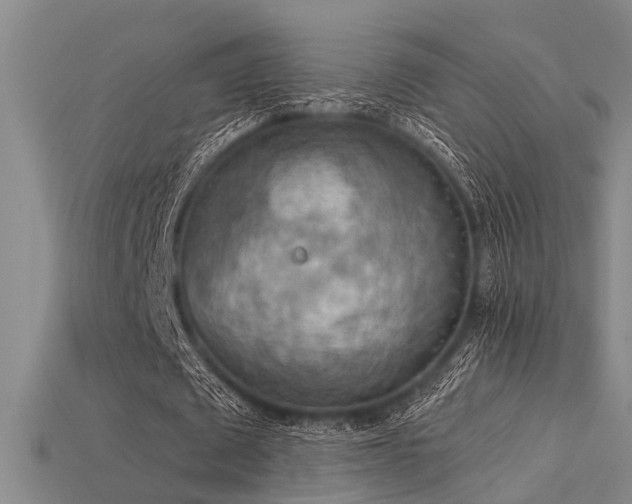 X0000115850673200911131552