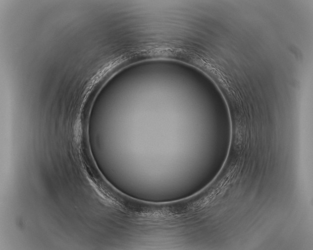 X0000115850674200911131552