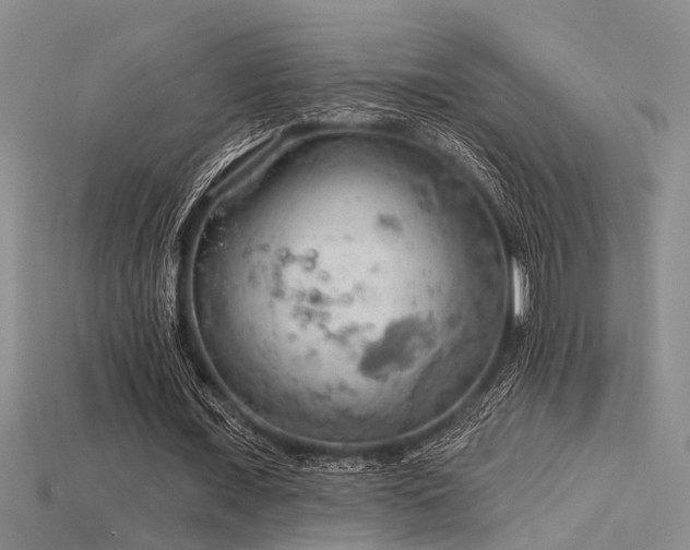 X0000115850675200911131552