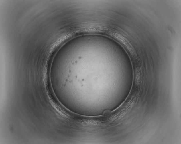 X0000115850677200911131552