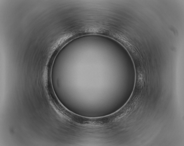 X0000115850678200911131552