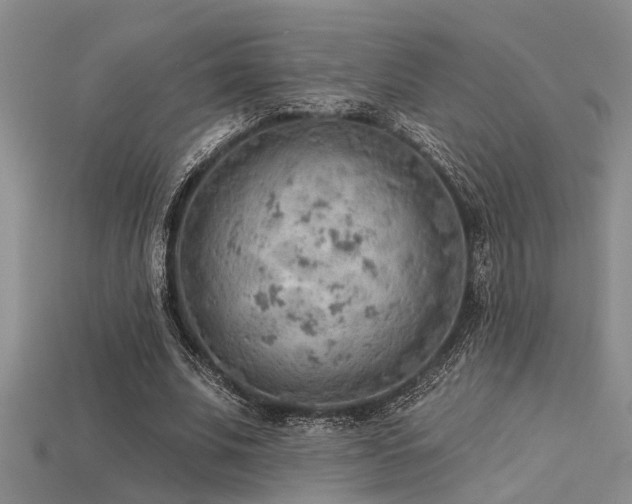 X0000115850679200911131552