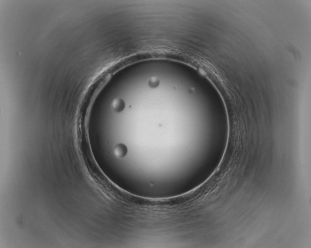 X0000115850680200911131552